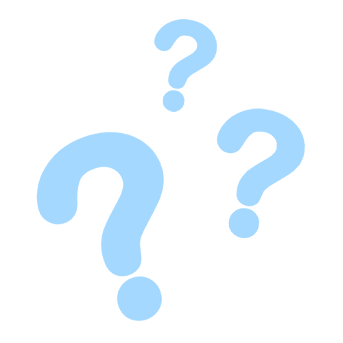 Mystery Anklet - EVRYJEWELS